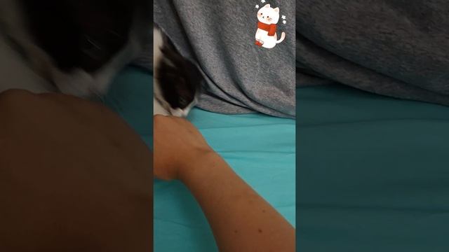 Всем Привет!👋