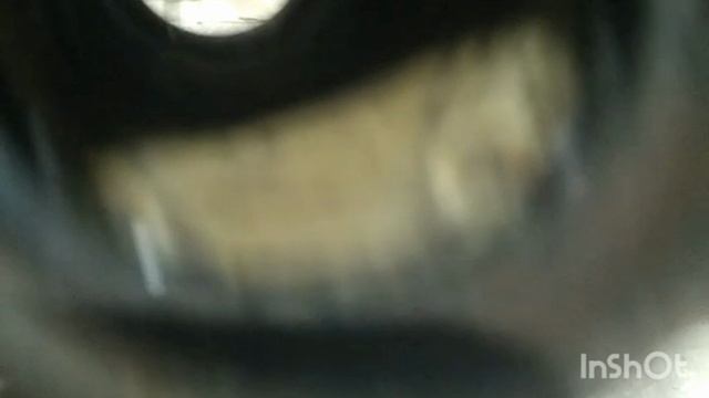 ИСТОРИЯ СОЗДАНИЯ КАРАКАТА!!!