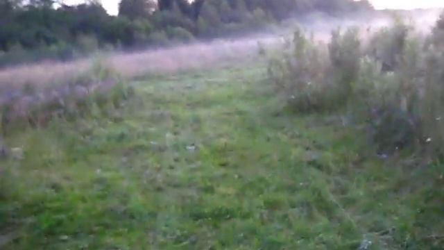 конец первого дня //поездка на участок // переезд в деревню