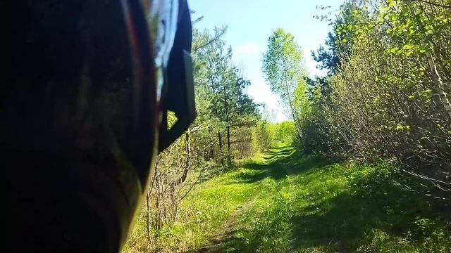 КАТАЕМСЯ ПО ЛЕСУ С ДРУГОМ НА КВАДРИКЕ🌲🌳