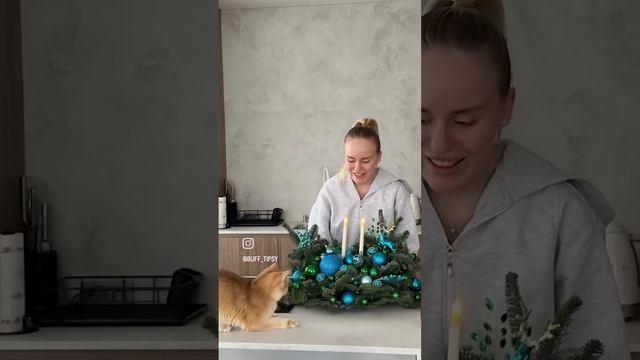 Мурена подготовилась к НГ 🎄🎁🤶🏻