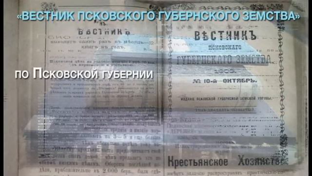 Первые газеты Псковской губернии