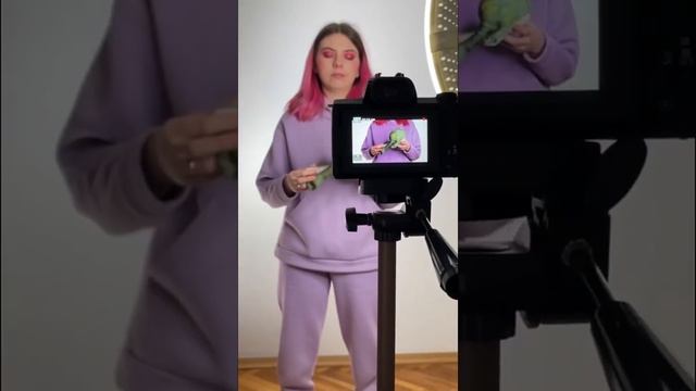 ФАБРИКА БЛОПСОВ