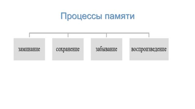 01_01_Тема 3 Познавательные процессы.2024-12-24-16-17-23
