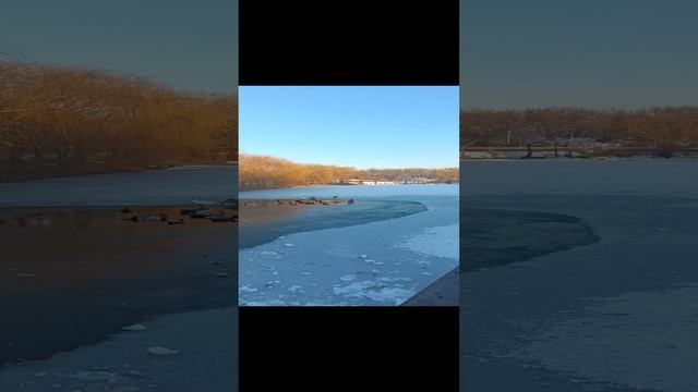 Зимний дендропарк