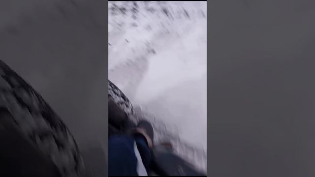 Старяли