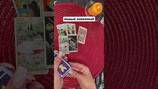 Новый знакомый #любовь #отношения #таро #тароотvicky #tarotfromvicky #гаданиеонлайн #гадание