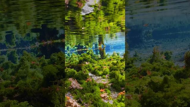 красота)