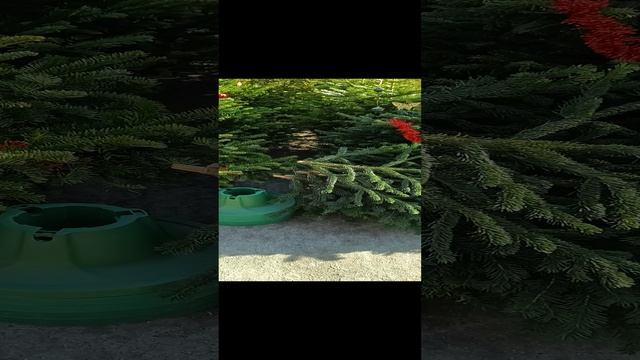 1000011237.mp4