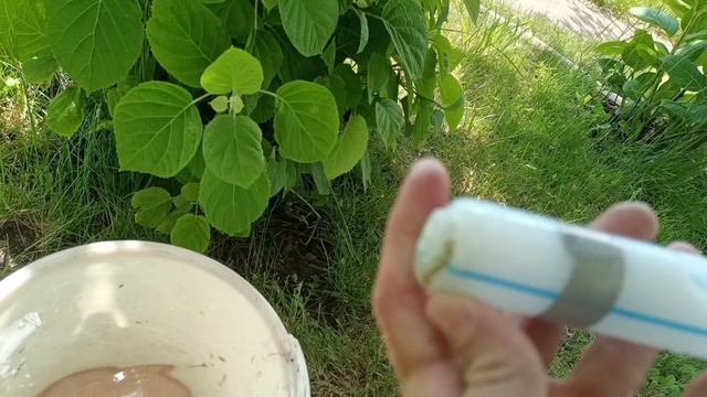 1000019371.mp4