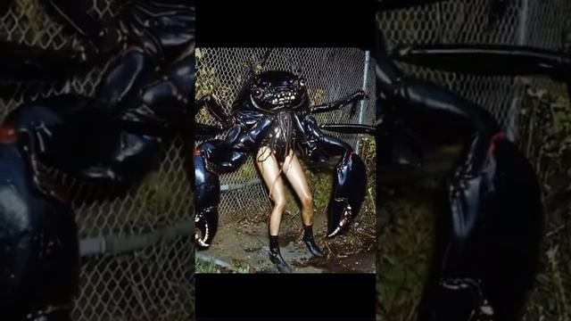 Тот самый сон при температуре 39.9.mp4
