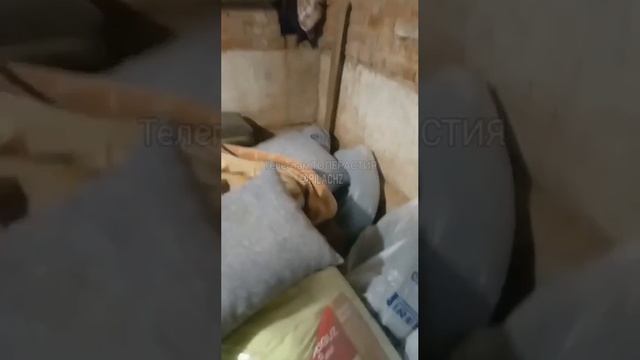 Подмосковье. Жильцы одного из домов заметили, что двери в их подвал кто-то обмотал проволокой