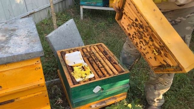 ПОЗДНИЕ ОТВОДКИ , КАК РАЗОГНАТЬ