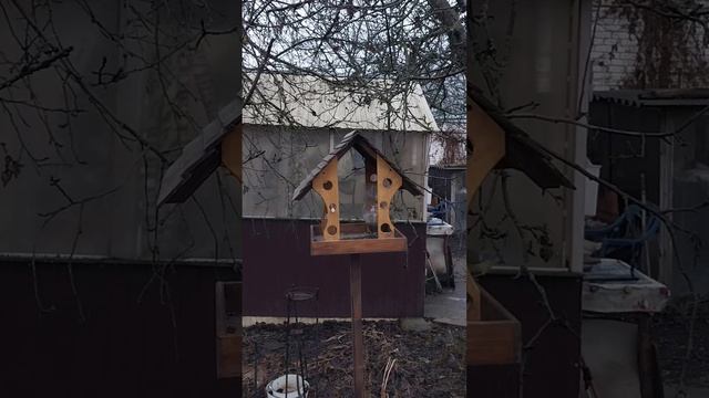 Кормушка заработала!