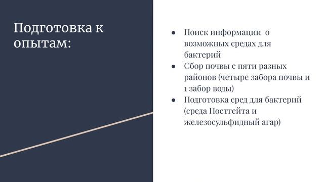 Существование сульфатредуцирующих бактерий на территории города Братска