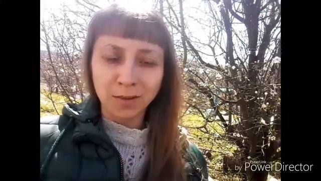 Чем заменить сахар?