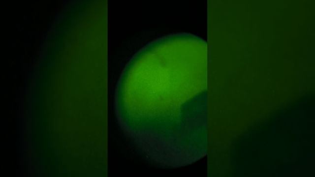 работа пнв.mp4