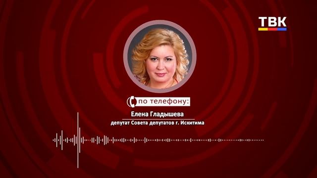 Комиссия по этике рассмотрит дело депутата Искитима после ДТП: что ждет нарушителя?
