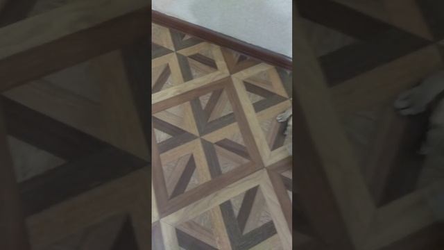 VID_20241224_233935_155