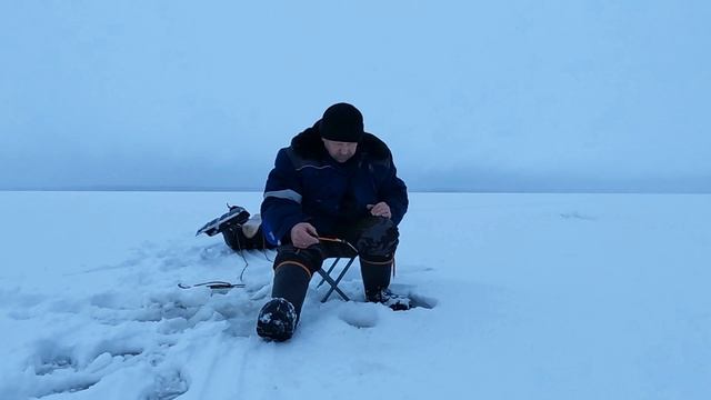 Заболел 🐠🐋🐟 рыбалкой.