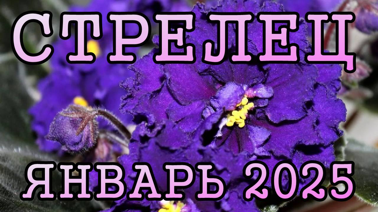 СТРЕЛЕЦ таро прогноз на ЯНВАРЬ 2025 года.