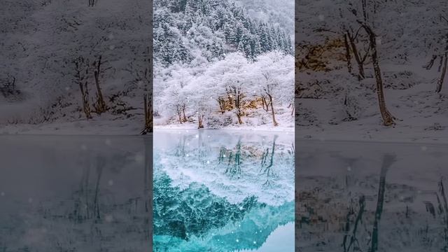 за