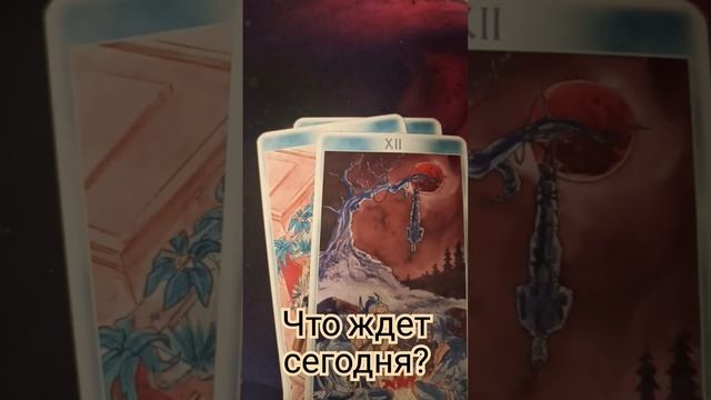 Совет на день в описании #рекомендации #мотивациянауспех #таро#numermariya