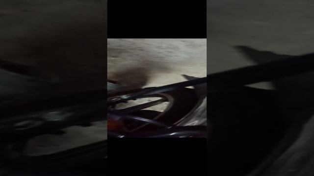 VID_20241224_092828.mp4