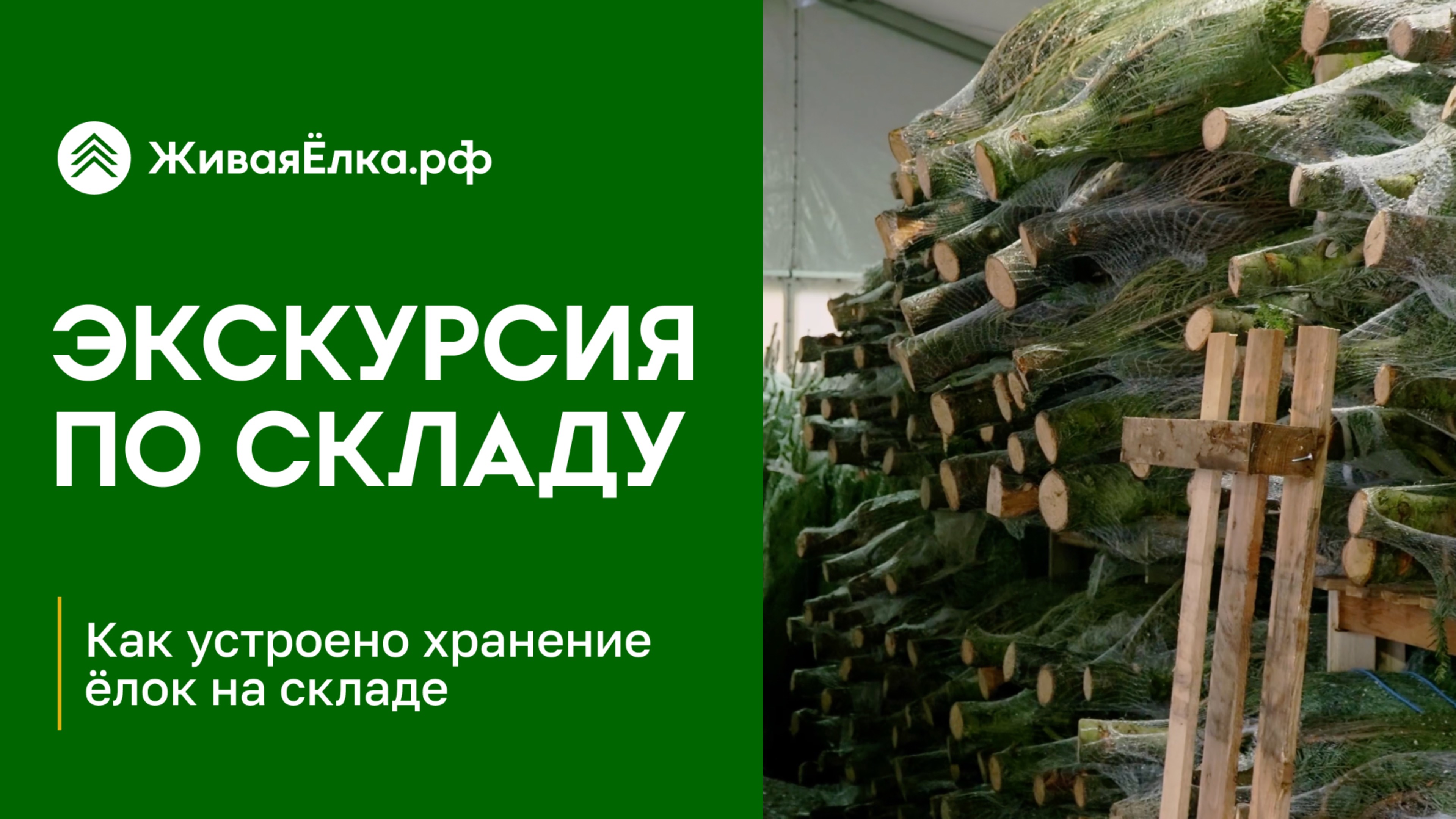 Экскурсия по складу ЖиваяЁлка.рф