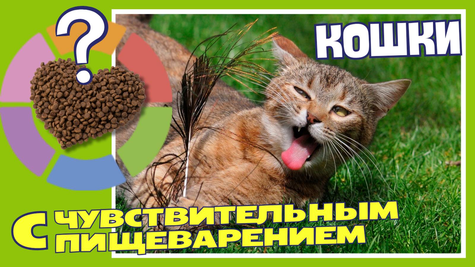 Кошка с проблемным желудком? Это решение!