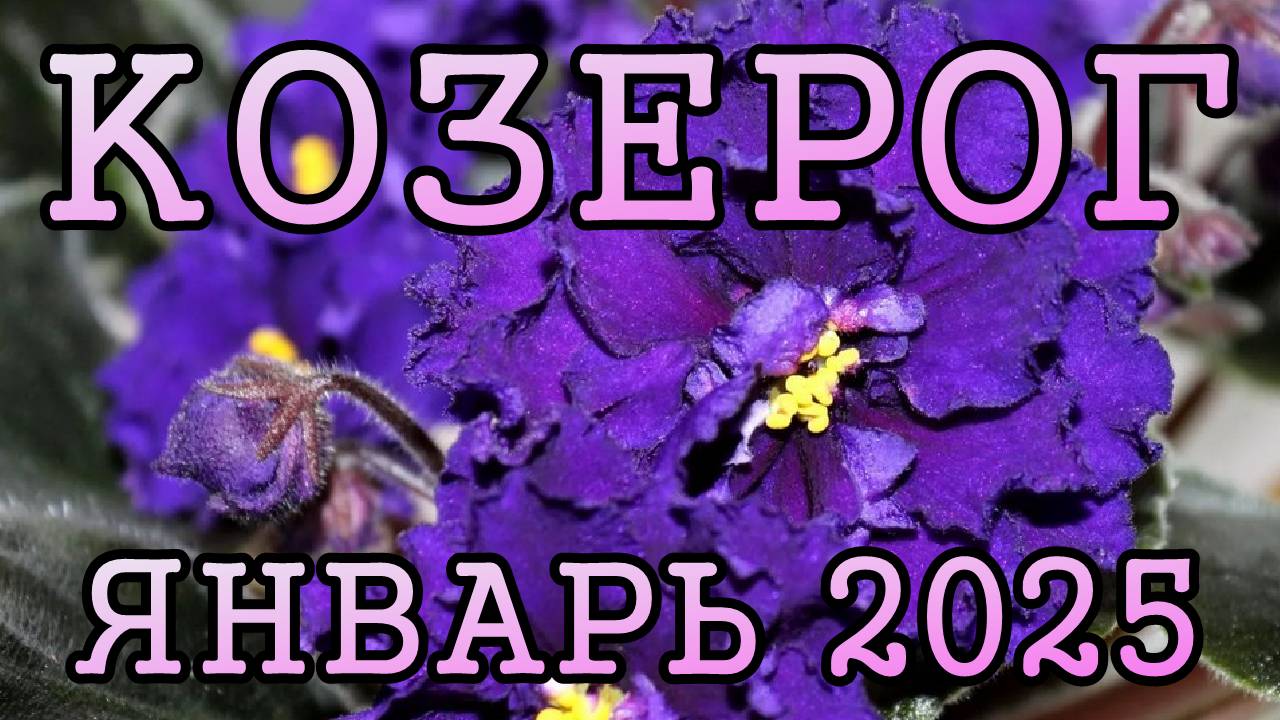 КОЗЕРОГ таро прогноз на ЯНВАРЬ 2025 года.