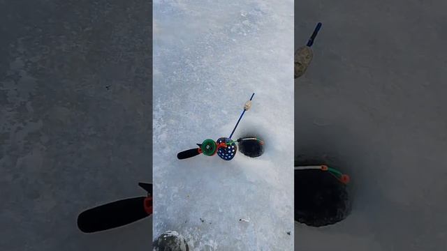 Рыбалка по первому льду