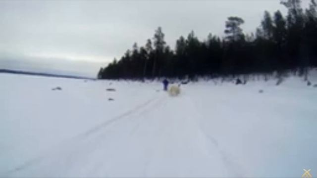 SVID_20241215_140620_1.mp4