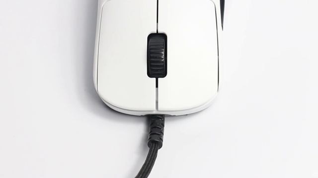 Are Wired Mice Back? - Endgame Gear OP1 8K Review