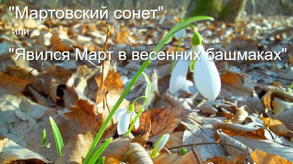 "Мартовский сонет" Авторская песня, слова и музыка Сергея Мигаль, аранжировка Виктора Швец