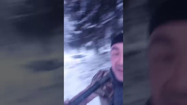 Спорт друг человека