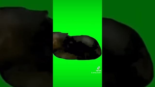 2024-12-23-163258576.mp4