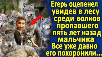 Егерь спас сироту в лесу, выросшего среди волков... И вот какую благодарность он за это получил...