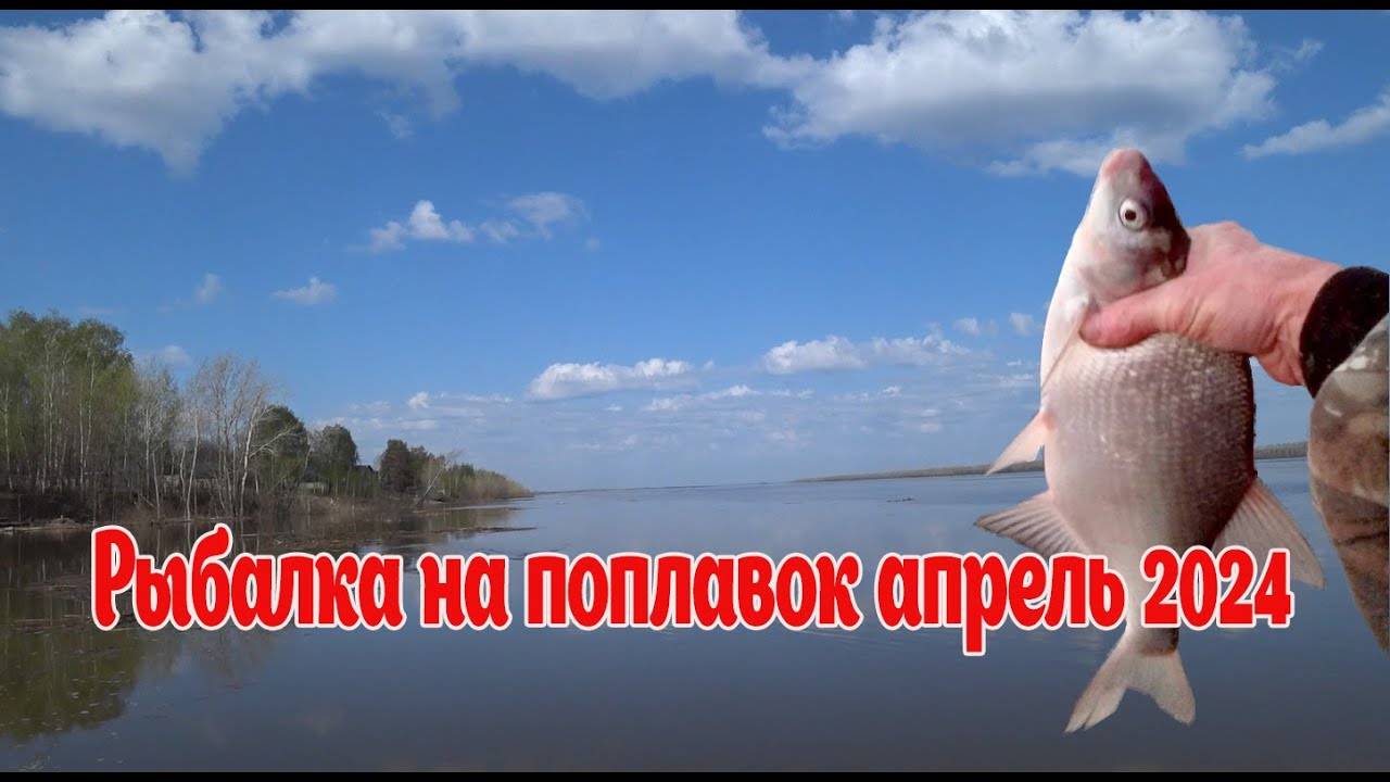 Ловля густеры апрель 2024. Жарим рыбку. ВЕСЕННИЙ ОТДЫХ НА РЕКЕ ВОЛГА.