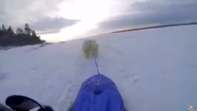 SVID_20241215_135659_1.mp4
