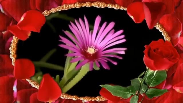 Моё поздравление всем женщинам.