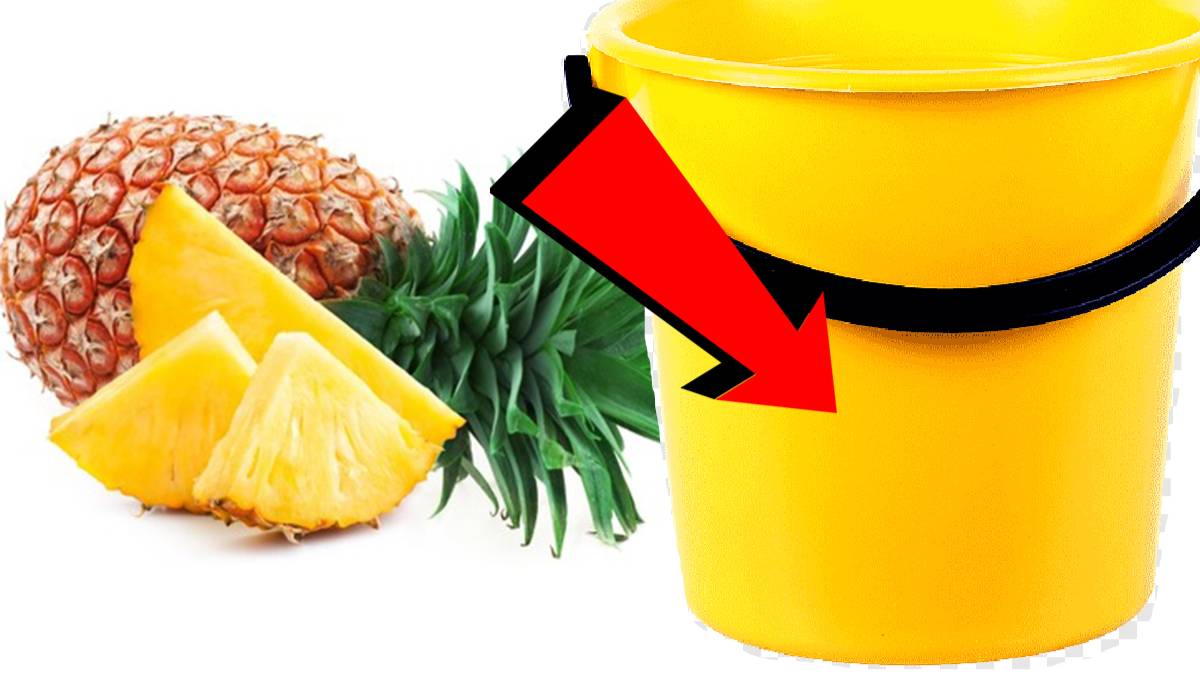 Как подкормить ананас За 3 Секунды!!!