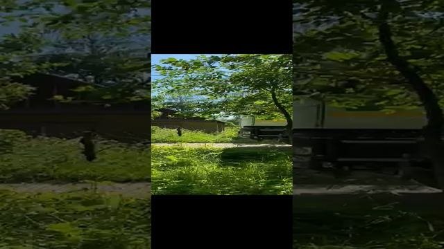 VID-20210620-WA0000.mp4