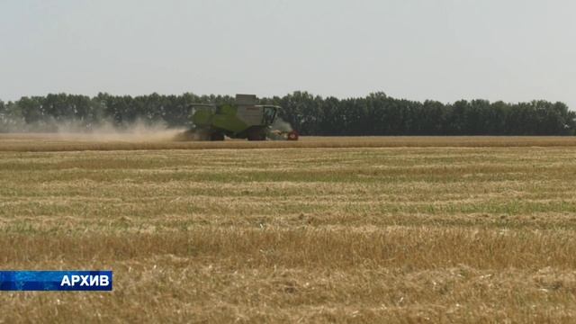 Подсолнечное масло из Воронежской области завоёвывает Китай?