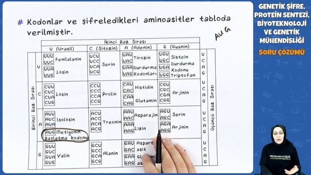 Genetik Şifre, Protein Sentezi, Biyoteknoloji ve Genetik Mühendisliği Soru Çözüm |  AYT 2022