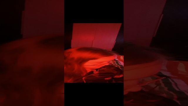 1000015352.mp4
