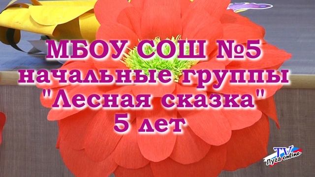 НАМ 5 лет Детский сад Лесная сказка справляет первый юбилей 31 05 2019г