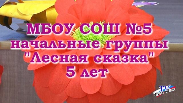 НАМ 5 лет  Детский сад Лесная сказка справляет первый юбилей  31 05 2019г