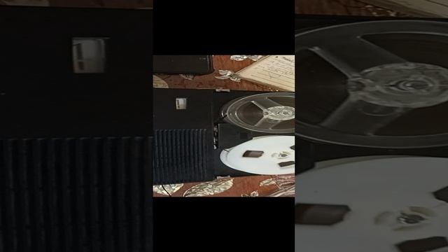 1000022135.mp4
