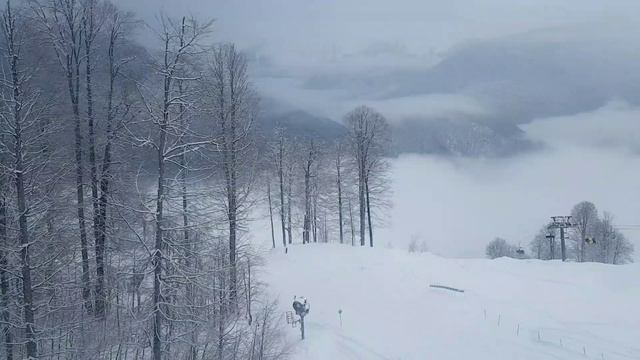 Каталка Сочи, февраль 2017